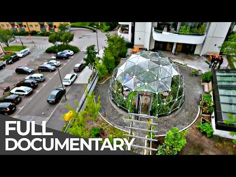 The City of the Future: Malmö