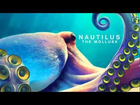 The Mollusk - Connecting Flight