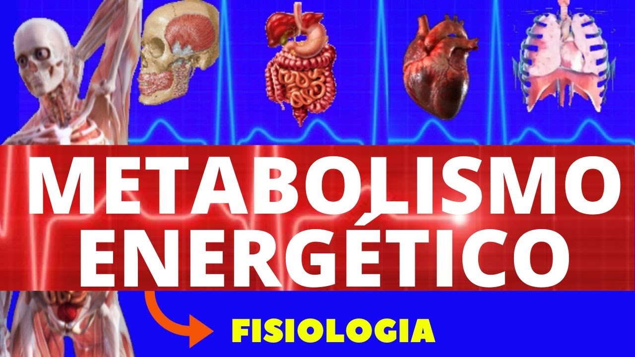 METABOLISMO ENERGÉTICO - (FISIOLOGIA DE GUYTON) - FORMAÇÃO DE ATP - FISIOLOGIA HUMANA