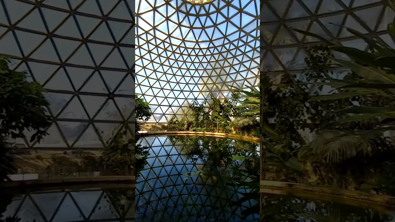 YouTube Short thumbnail