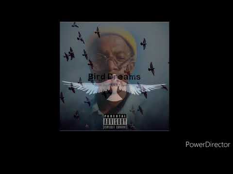 Bird Dreams- Ozzie Jay CSA ft Toure