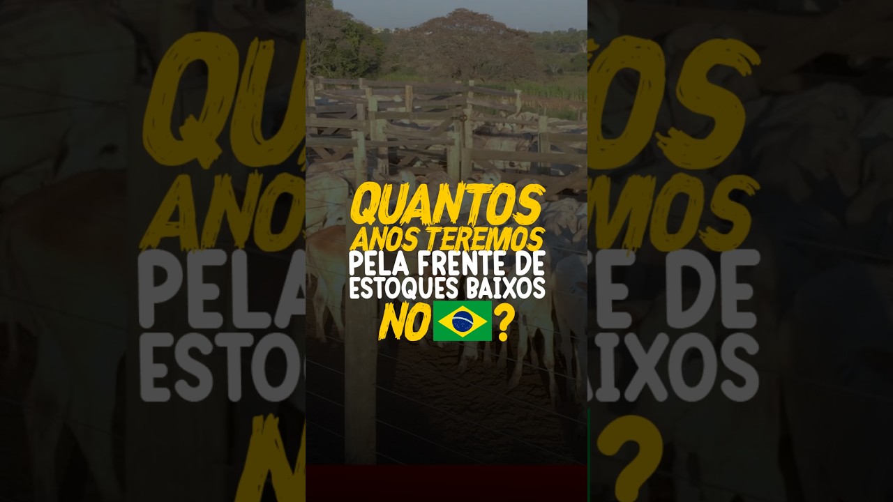 QUANTOS ANOS TEREMOS PELA FRENTE DE ESTOQUES BAIXOS NO BRASIL?