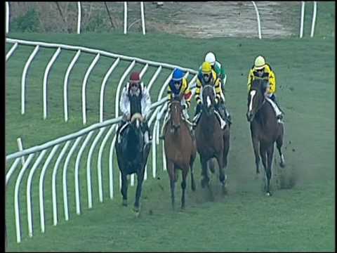 Galoppo 21/12/2016 - 2ª corsa