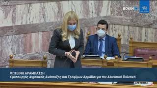 Απάντηση ΥφΑΑΤ Φωτεινής Αραμπατζή σε Επίκαιρη για τη διαχείριση του πλοίου Elbeik (19/3/21)