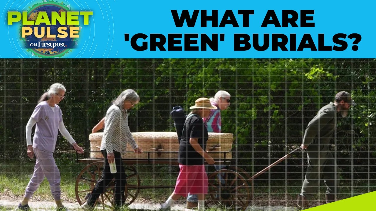 How Green Burial Practices Are Changing The Future Of Funerals? | Planet Pulse | 4K