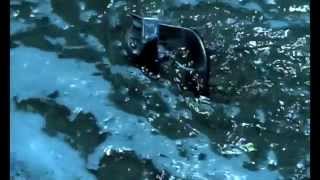 Katy Perry &#39;Choose Your Battles&#39; ft Madonna