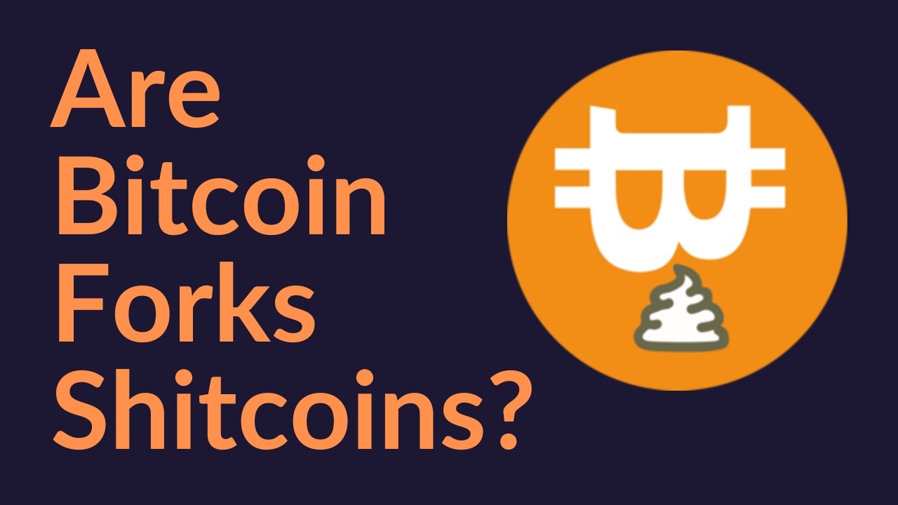Are Bitcoin Forks Shitcoins?