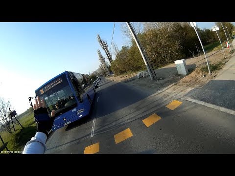 Buszsofőr átenged - Bus driver lets me go