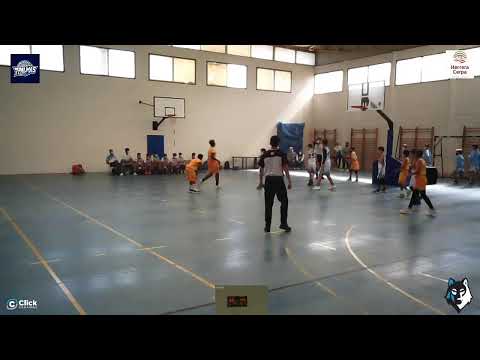 NFANTIL MASCULINO : CB 7 Palmas  -  Gran Canaria Claret