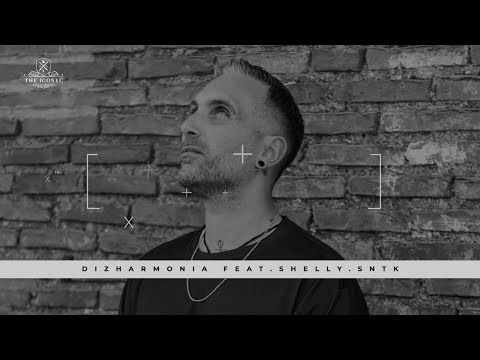 PREMIERE: Dizharmonia & Shelly.sntk -Message [Original Mix] | ICONYC