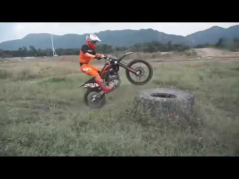 Наглядный тест kayo t4l для заказ по номеру 89887775015