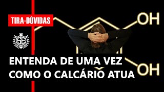 Aprenda de Maneira Fácil como o Calcário Corrige a Acidez do Solo e Influencia a CTC