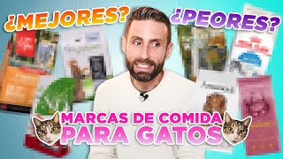 LAS 7 MEJORES y PEORES marcas de ALIMENTOS SECOS para GATOS elegidas por mis seguidores 😼🍲