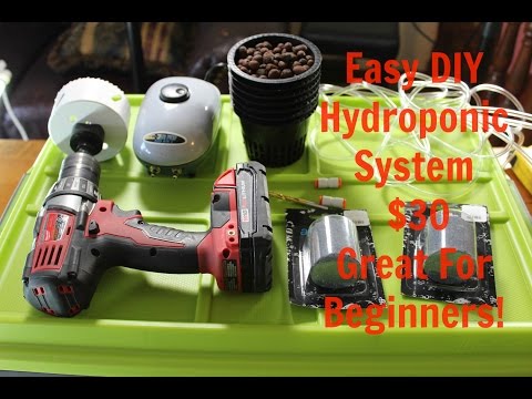 Easy $30 Homemade Deep Water Culture (DWC) Hydroponics System DIY