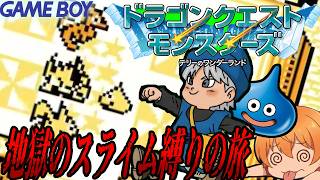地獄のスライム縛り！Eランクの壁が高すぎでもう無理！ #３【DQM テリワン】