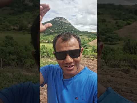 Início do plantio em Monte das Gameleiras-RN.