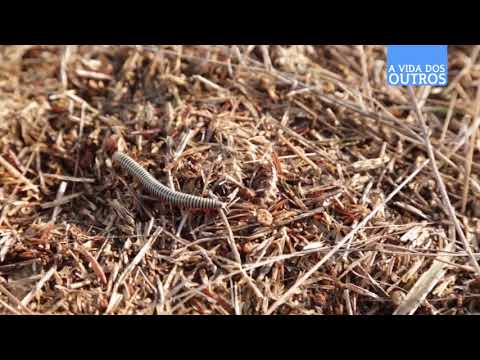 A Vida dos Outros | Herdade da Barroca da Misericórdia de Mora