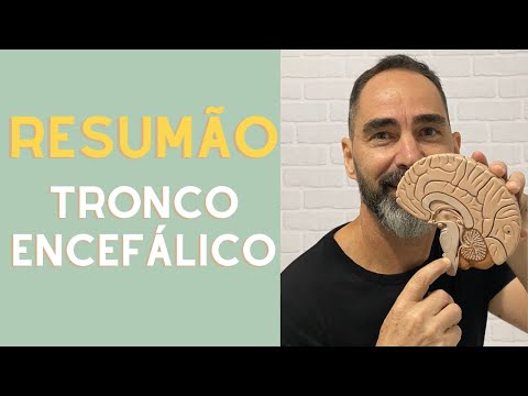 TRONCO ENCEFÁLICO - BULBO SUPERIOR, NÚCLEOS, TRACTOS, FASCÍCULOS E LEMNISCOS
