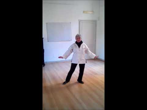 Olisticmap - Tai Chi Chuan Forma YANG - 1° Parte