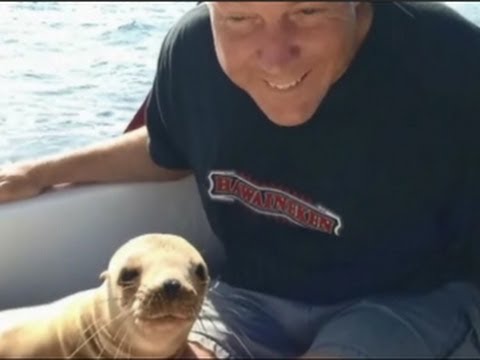 download lagu mp3 mp4 Cuddles Boat, download lagu Cuddles Boat gratis, unduh video klip Cuddles Boat