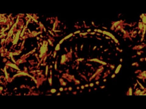 Antre - Become the Damned