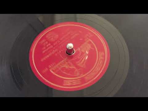 Diyarbakırlı Celâl Güzelses - O Yarimin Damından Hoplıyamadım - Taş Plak