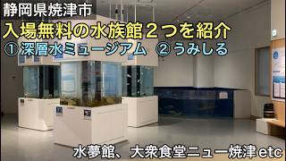 【無料】静岡県焼津市にある入場無料の水族館2つを紹介。昼食は大衆食堂ニュー焼津へ。