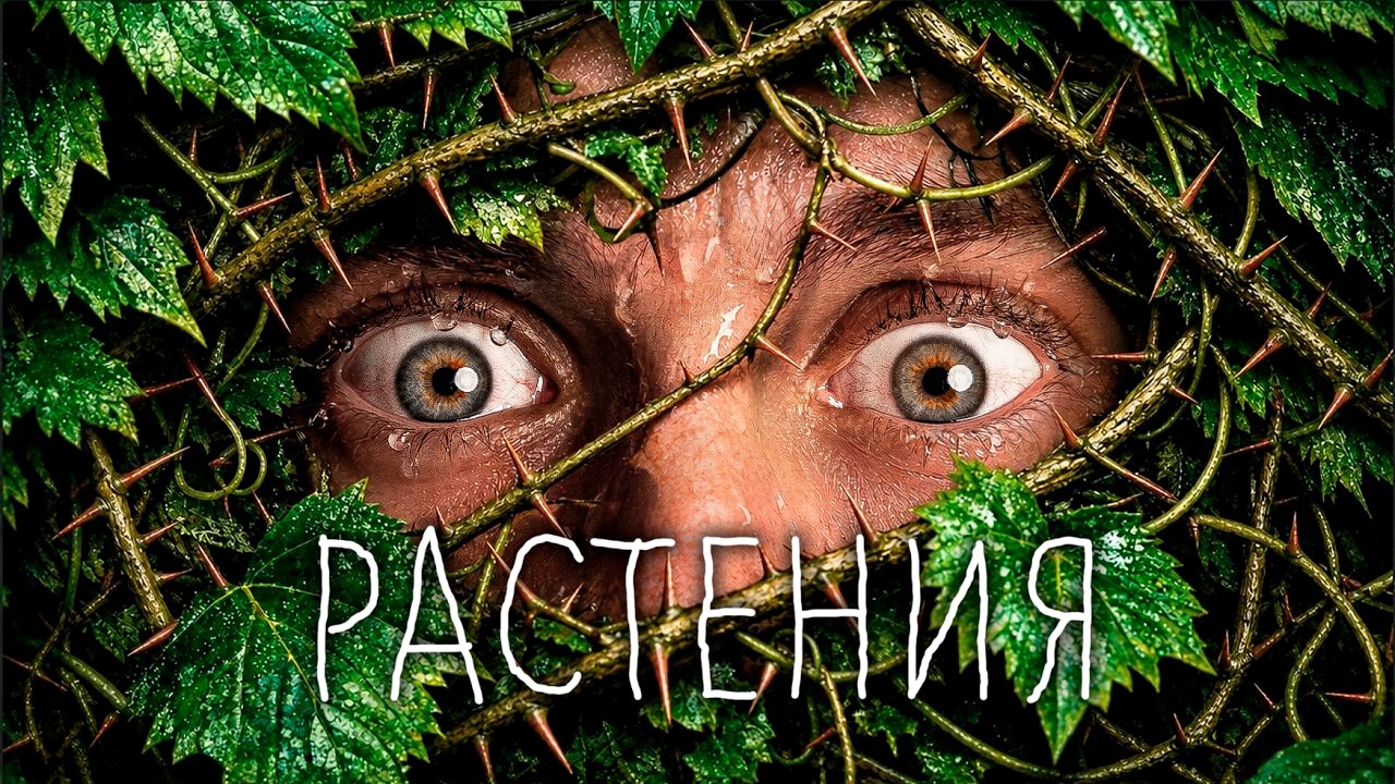 Вы НИЧЕГО не знаете о РАСТЕНИЯХ — ТОПЛЕС