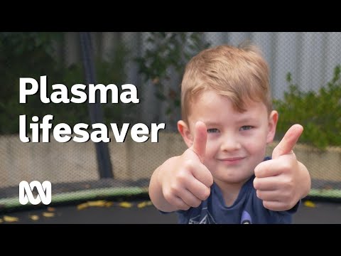 Donated plasma a lifesaver for four year old Charlie Corbitt ABC Australia