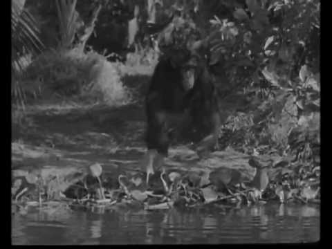 1939 Tarzan - O Filho de Tarzan (Tarzan Finds a Son!) (Dublado)