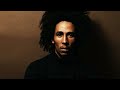 Bob Marley The Wailers Lively Up Yourself Instrumental