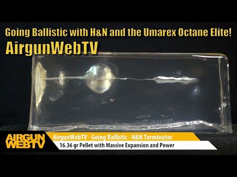 Going Ballistic 2017! Small Bore Lethality brought to you by H&N Pellets - Umarex Octane Elite .22