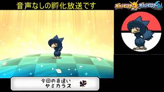【ポケモンUSUM】紫のカラスがほすしぃ【国際孵化】