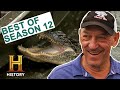 Swamp People BIGGEST GATOR HUNTS OF ALL TIME SEASON 12