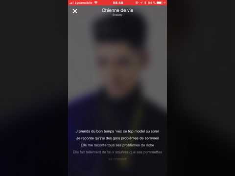 Sneazzy - Chienne de vie