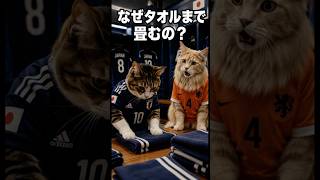 【W杯ロッカー】なぜ日本代表はタオルまで綺麗に畳むのか