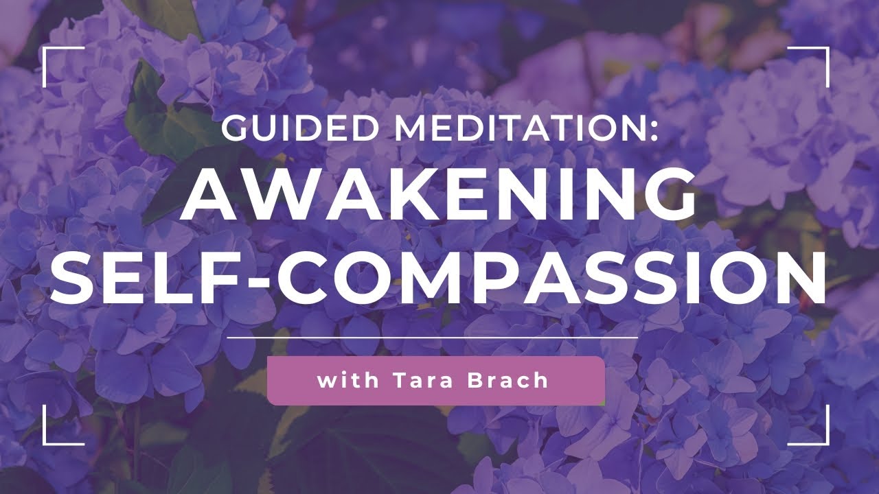 Meditation: Awakening Self Compassion, with Tara Brach