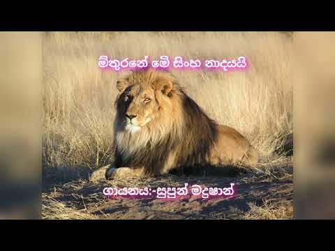 මිතුරනේ මෙි සිංහ නාදයයි| mithurane me sinha nadayai