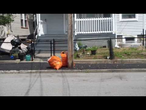 Bow and Arrow Attack on Whittenton St