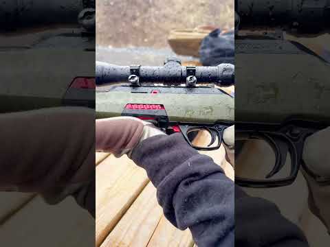 22LR Winchester Wildcat