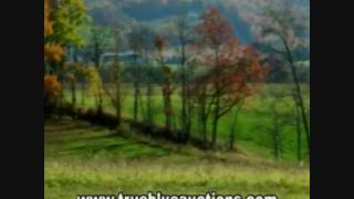 Spruce Creek Auction