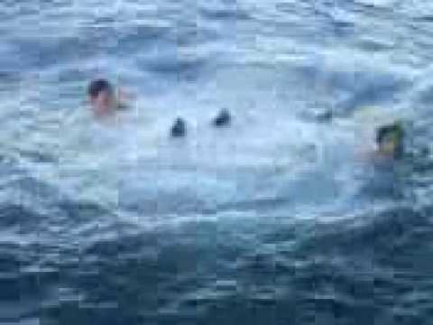 download lagu mp3 mp4 Rotass, download lagu Rotass gratis, unduh video klip Rotass