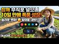 홍지니농사일기 참깨 심고 부직포 덮었더니 10일 만에 일어난 놀라운 변화 �