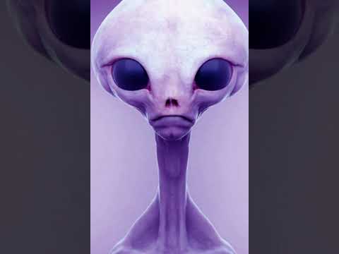 Bezalkoholna Havaria - to Bato! ft. Paydo Eskobar