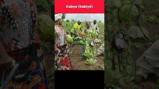 Togo’s Rich Cultural Mosaic!