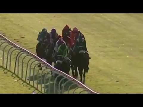 2014.04.26 Gold Bowl - Magic Smoke