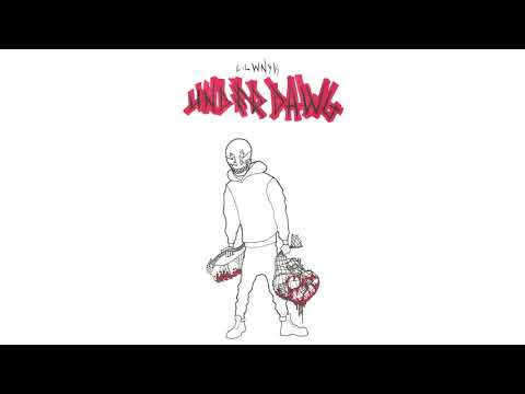 LIL WNYK - 91 (BIGGIE TRIBUTE)