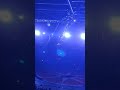 Adventures At The Circus