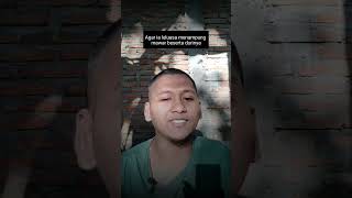 Download lagu Cintai aku karena Allah #islam #religion #cinta #nasihat #story #storywa mp3 Download lagu Cintai aku karena Allah #islam #religion #cinta #nasihat #story #storywa mp3