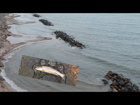 Havørredfiskeri ved Bølgebrydere